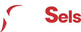 Kingsels Educational Consult